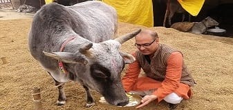 ||13 December 2014||On the occasion of his birthday, Ramnish offered savamani to Mangla cow in SOUL Mahakalika Gaushala.