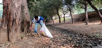 ||8 November 2015||Dinesh Sharma collecting dry leaves for `mulching’ in the SOUL Nandini natural farm