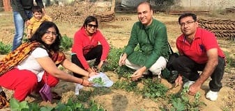 ||22 November 2015||Volunteers participate collectively in the first harvest in SOUL Nandini Natural farm.